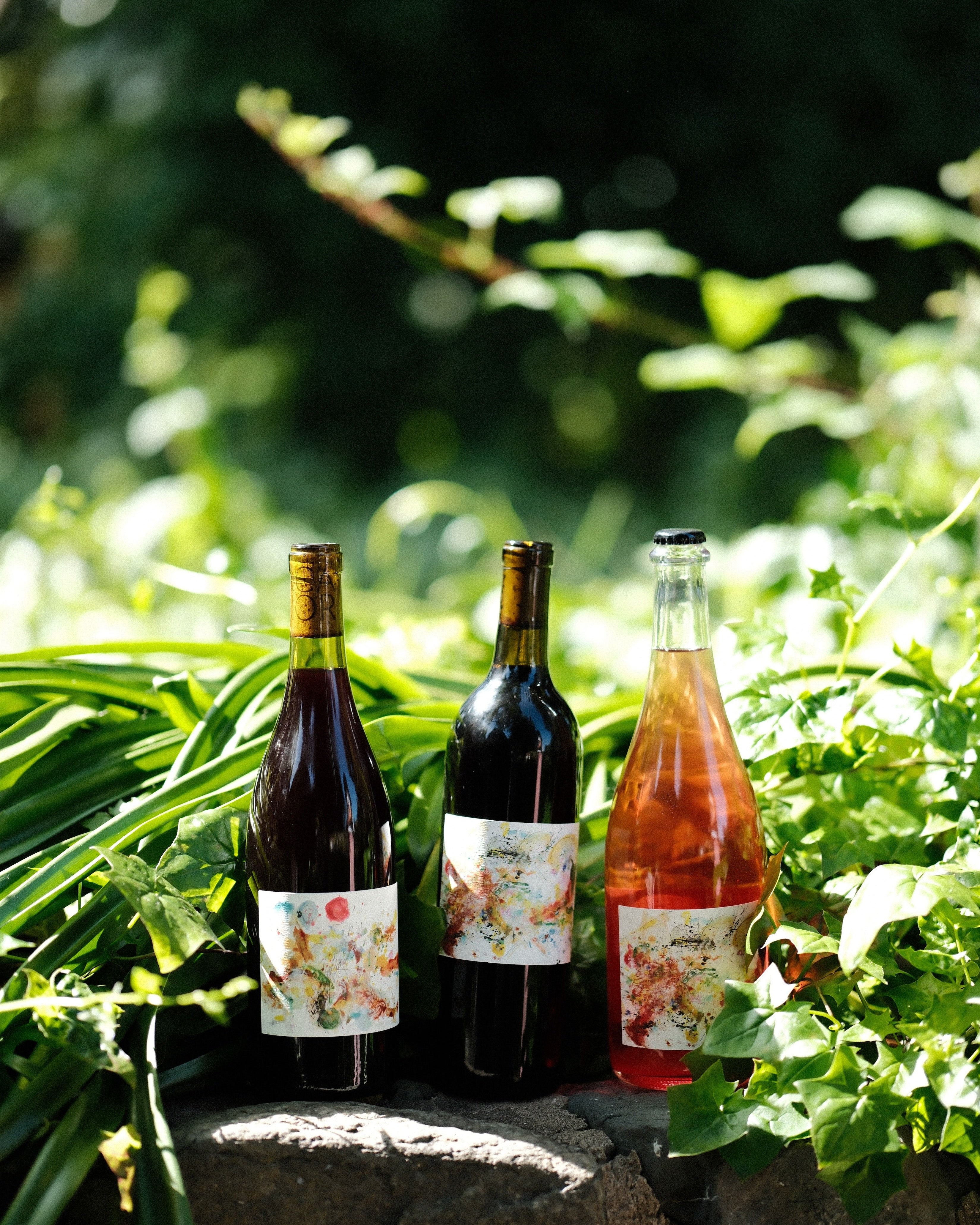 The Vinca Cellar Pack - 3 bottles