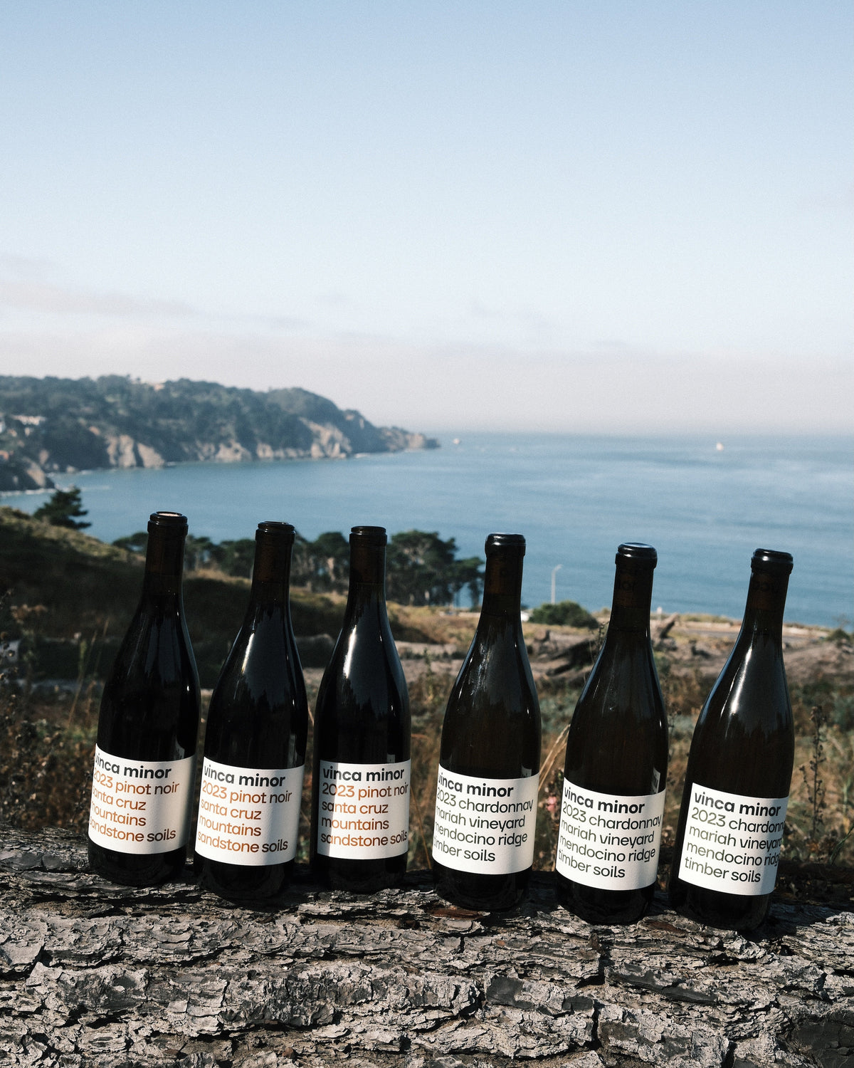 The Coastal Six