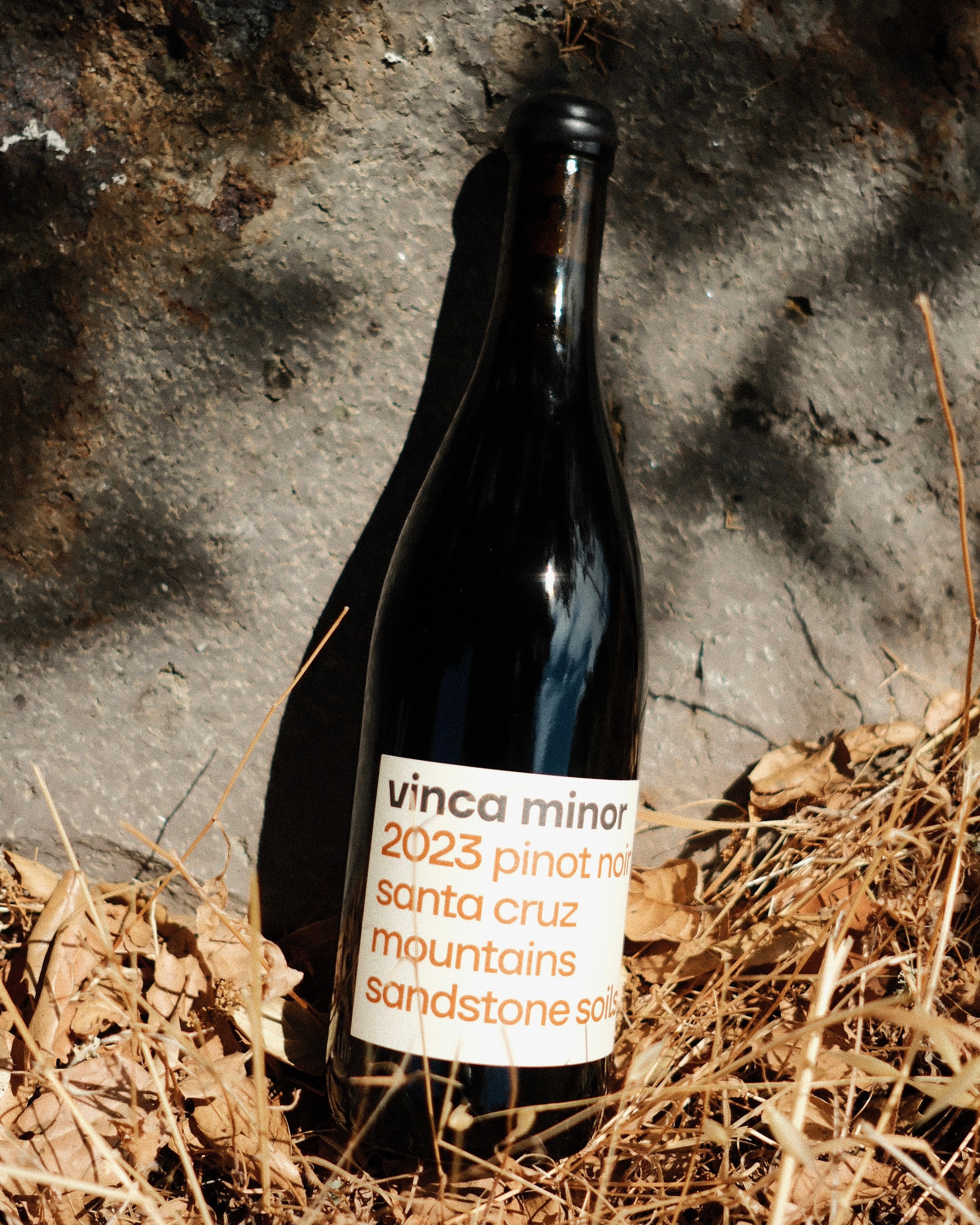 2023 Santa Cruz Mountains Pinot Noir
