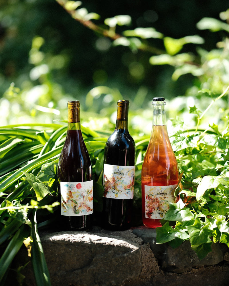Library Wines // 3 Pack