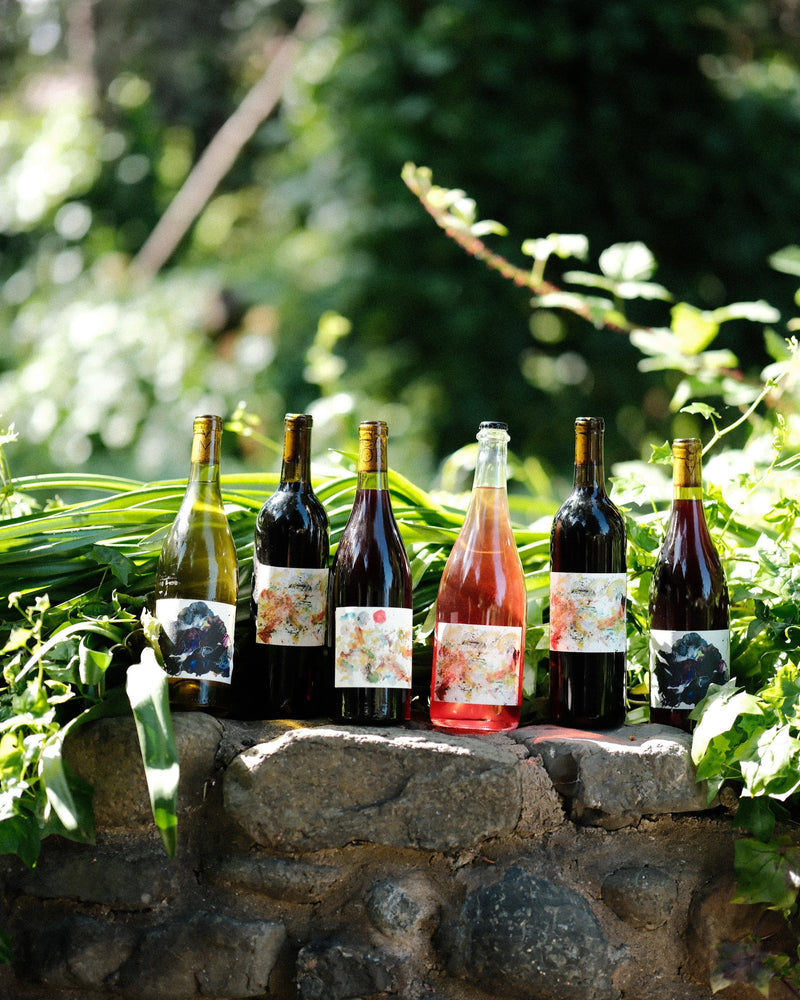 Library Wines // 6 Pack