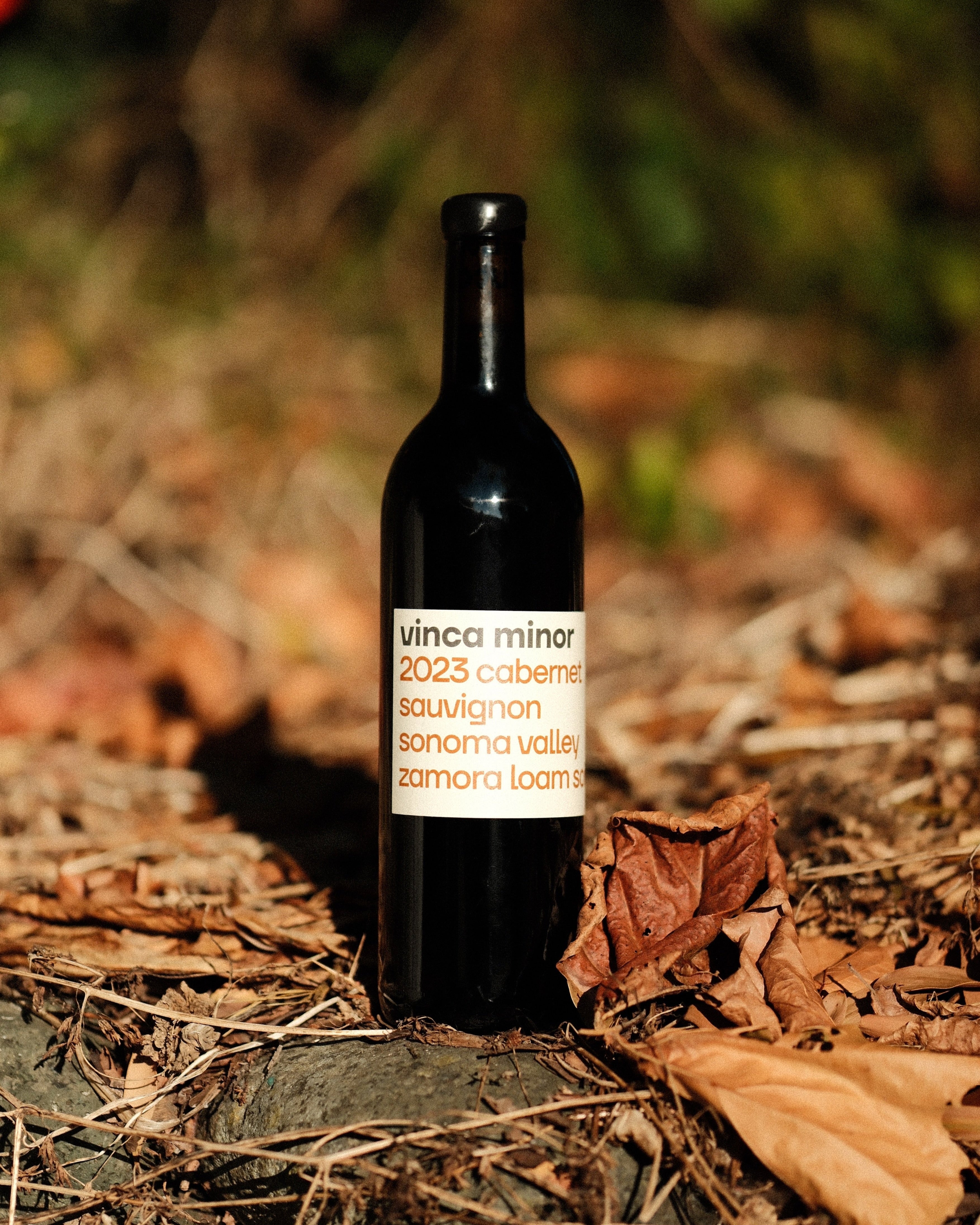 2023 Sonoma Valley Cabernet Sauvignon
