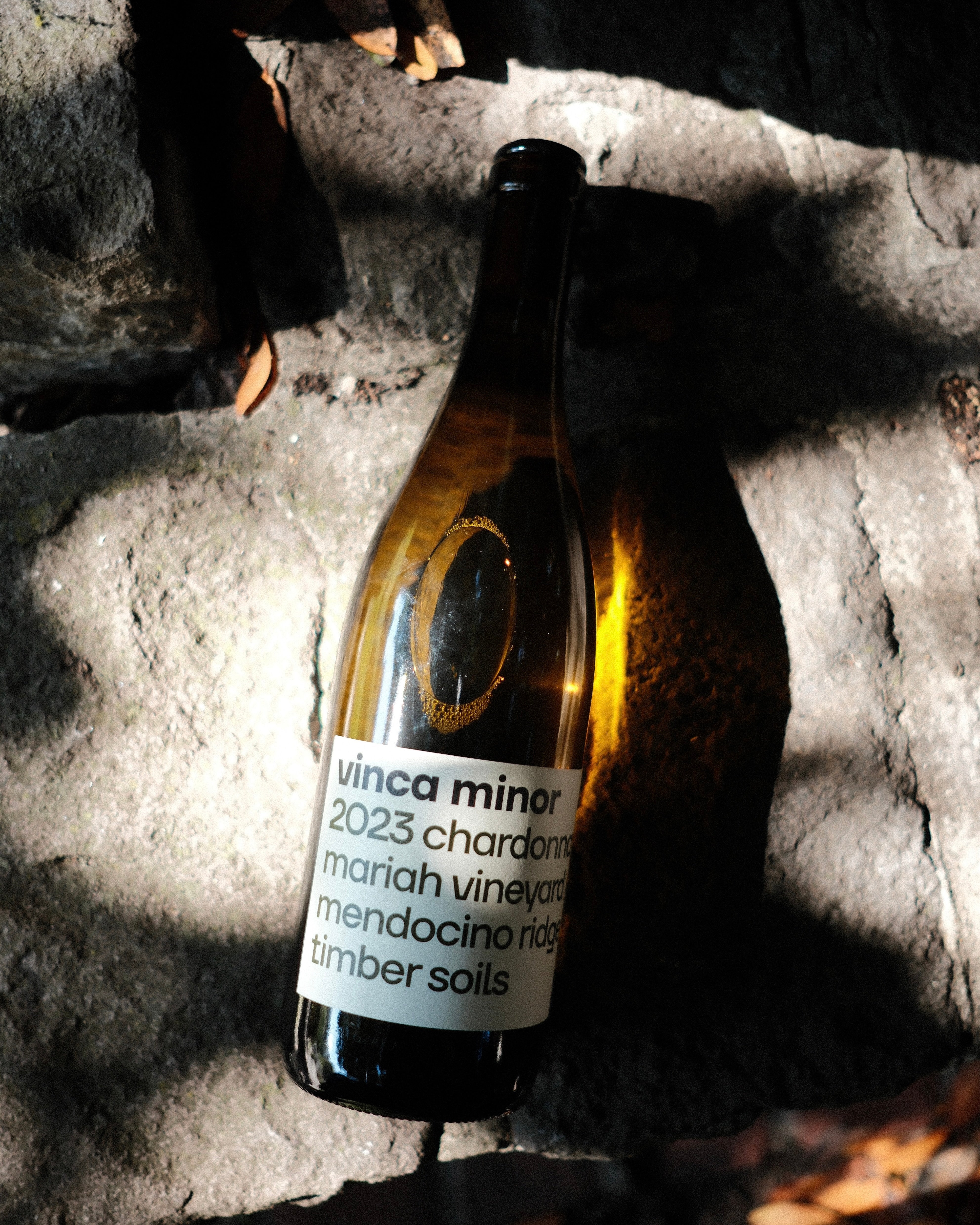 2023 Mendocino Ridge Chardonnay